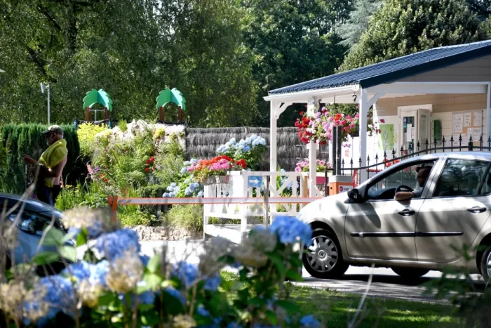 camping fleuri et ensoleillé