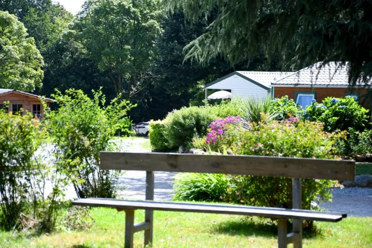 Espace arboré du camping