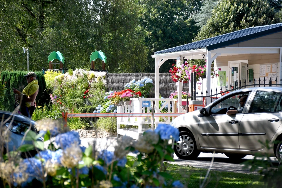 camping fleuri et ensoleillé
