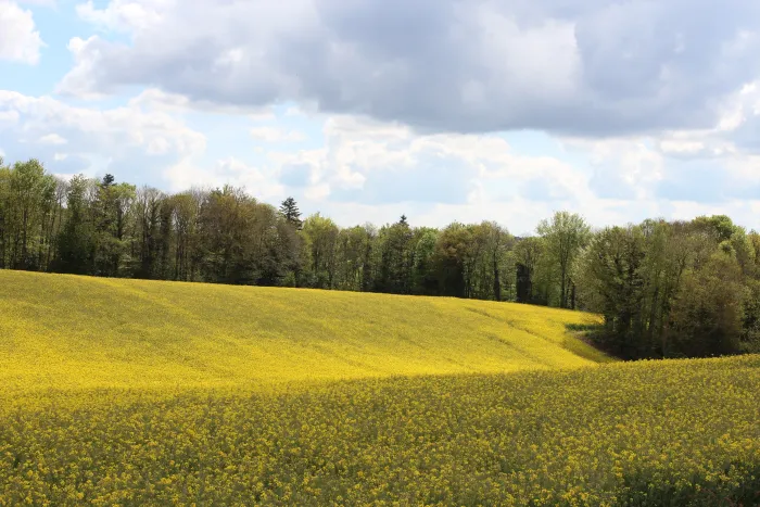 Campagne environnante au camping Le Clos du Blavet